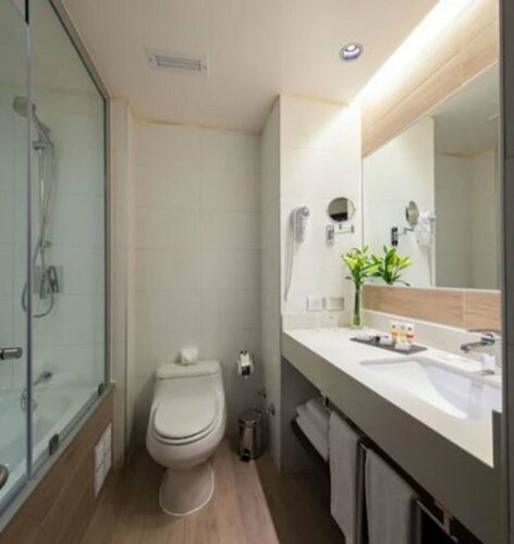 Гостиница Hotel Plaza El Bosque Nueva Las Condes