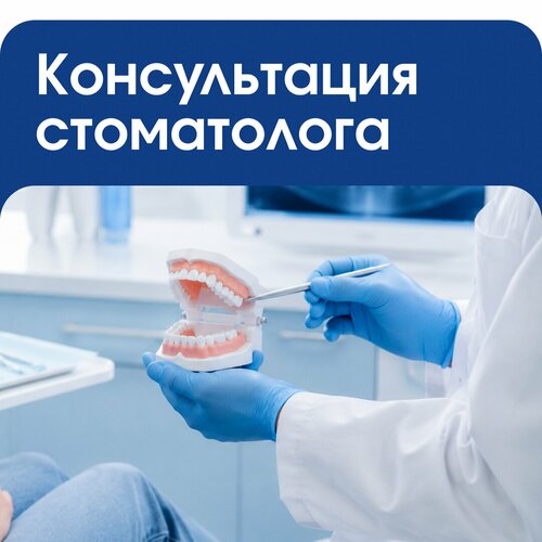 Услуги