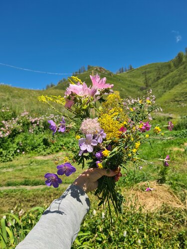 Агроусадьба Фромаж  фото 9