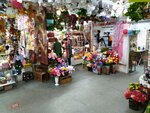 Бижутерия (istoricheskiy rayon Solombala, Teryokhina Street, 5) ، النباتات والزهور الاصطناعية