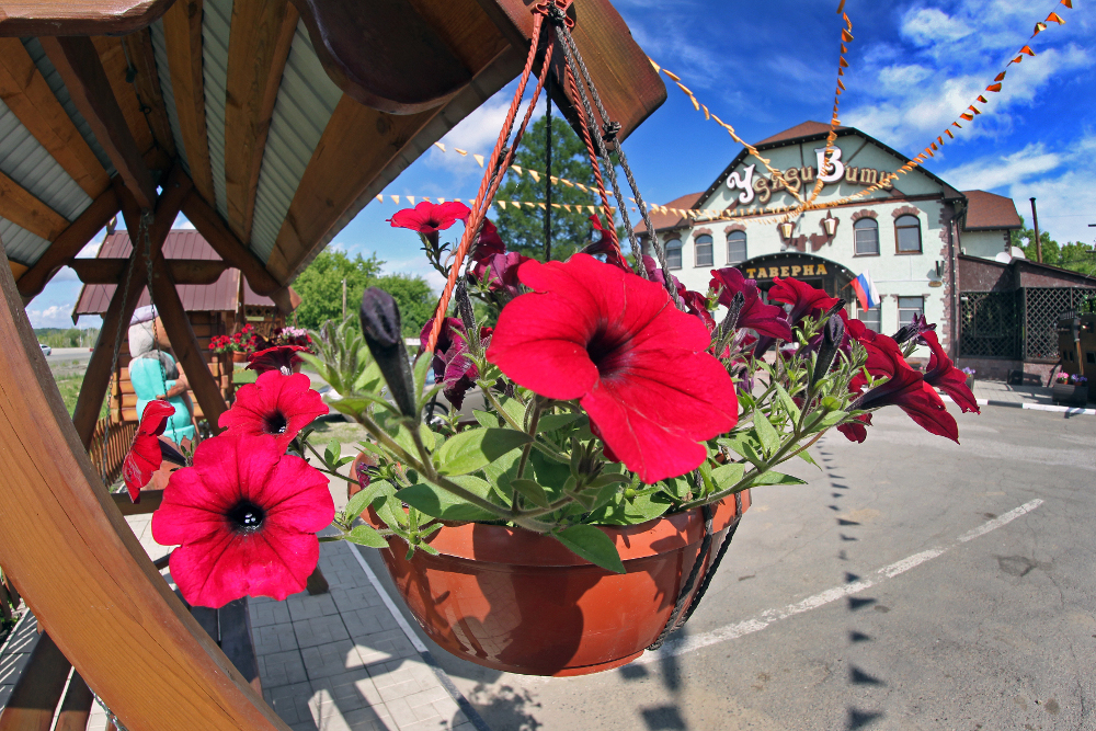 Фото Отель Гарика Мкртчяна