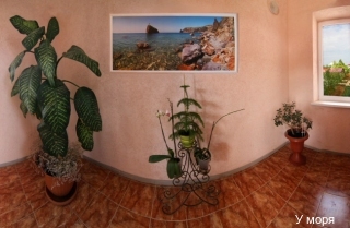 Фото У моря