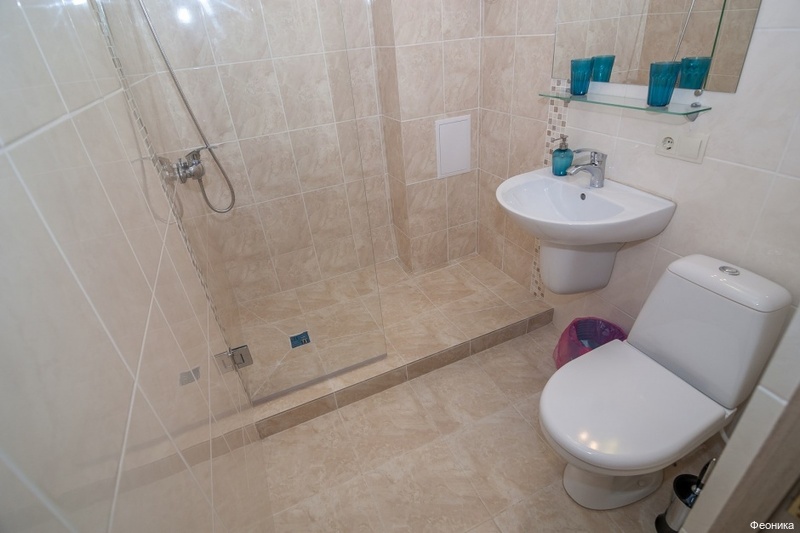 Фото Феоника