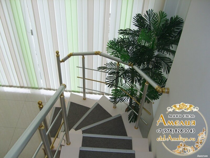 Фото Амелия