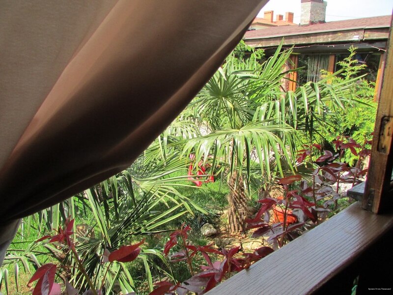 Фото Арт дача