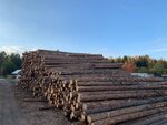 Yevrovagonka43 (posyolok Rechnoy, ulitsa Pushkina, 6), woodworking enterprise