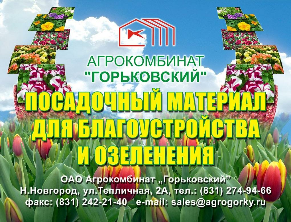 Агрокомбинат Горьковский Нижний Новгород Официальный Сайт Магазин