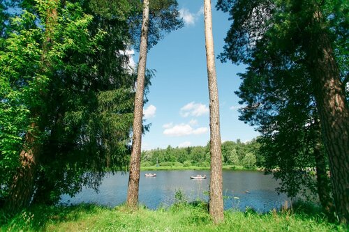 Зеленый городок  фото 9