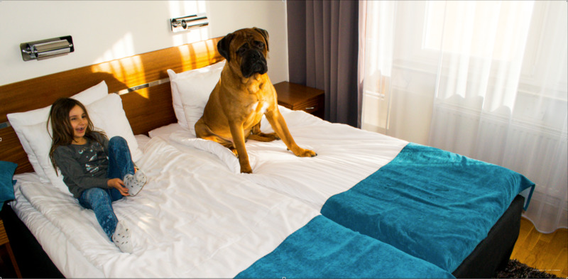 Фото Best Western Kom Hotel Stockholm