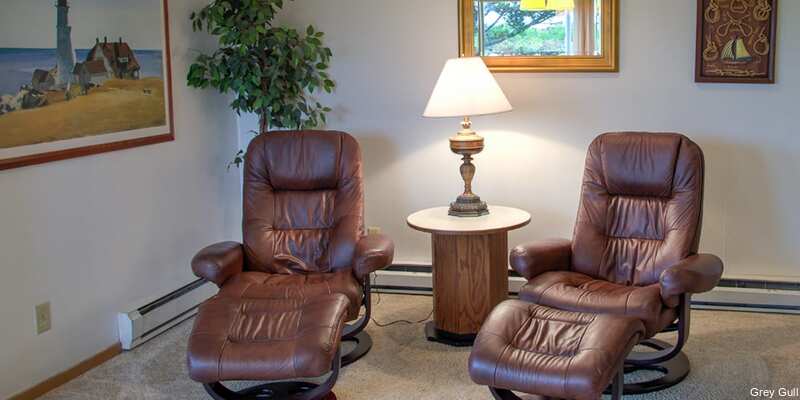 Фото The Grey Gull