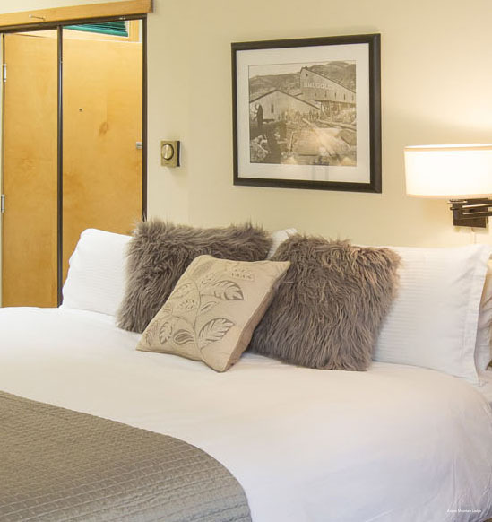 Фото Aspen Mountain Lodge