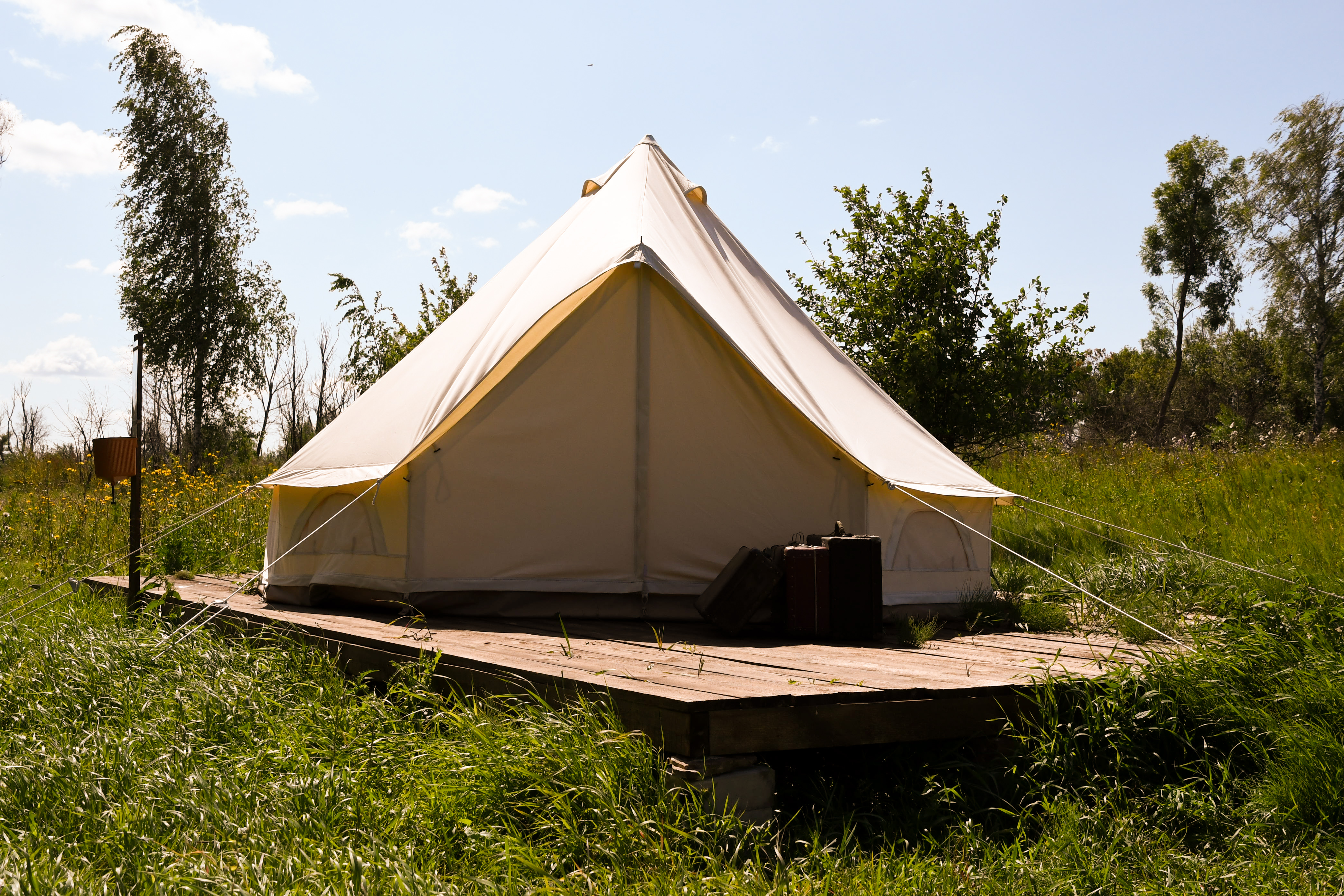 Фото Familyglamp Куликово поле