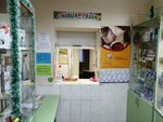 МАУ Детское лечебное питание (Экспериментальная ул., 7А, Пенза), магазин детского питания в Пензе