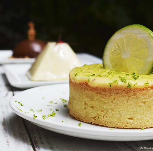 Фото Hotel Finlandia