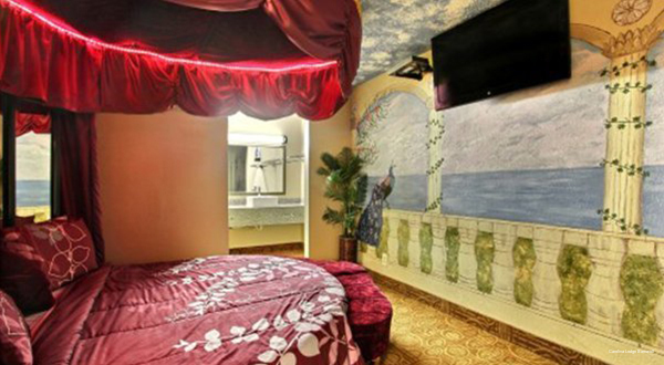 Фото Carolina Lodge