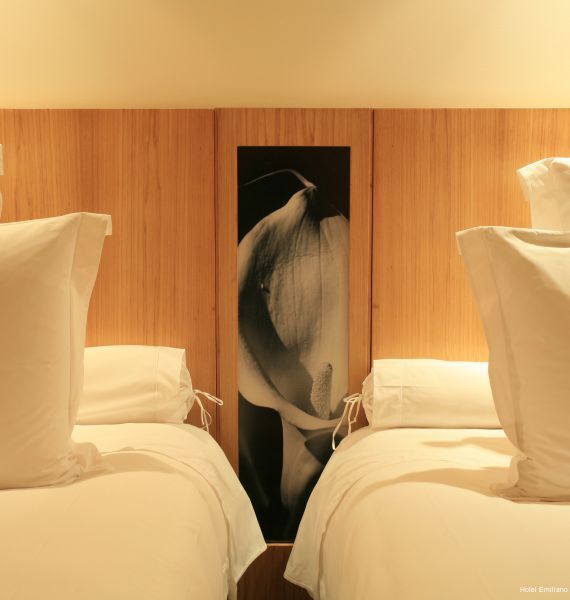 Фото Hotel Emiliano