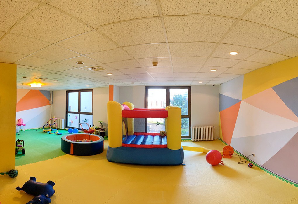 Фото Самшитовая роща