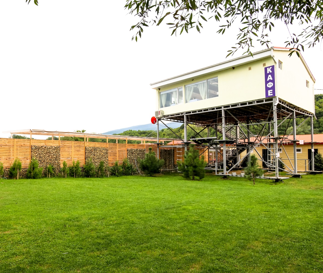 Фото Светлячок