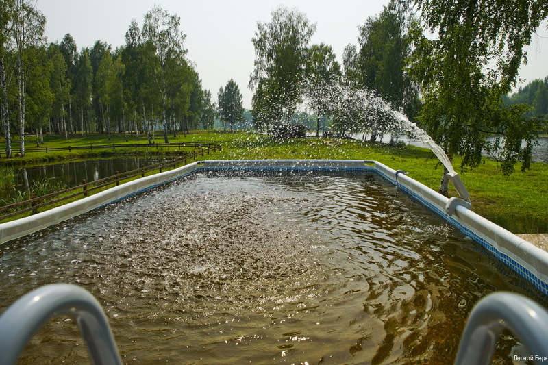 Фото Фермерская усадьба Лесной Берег