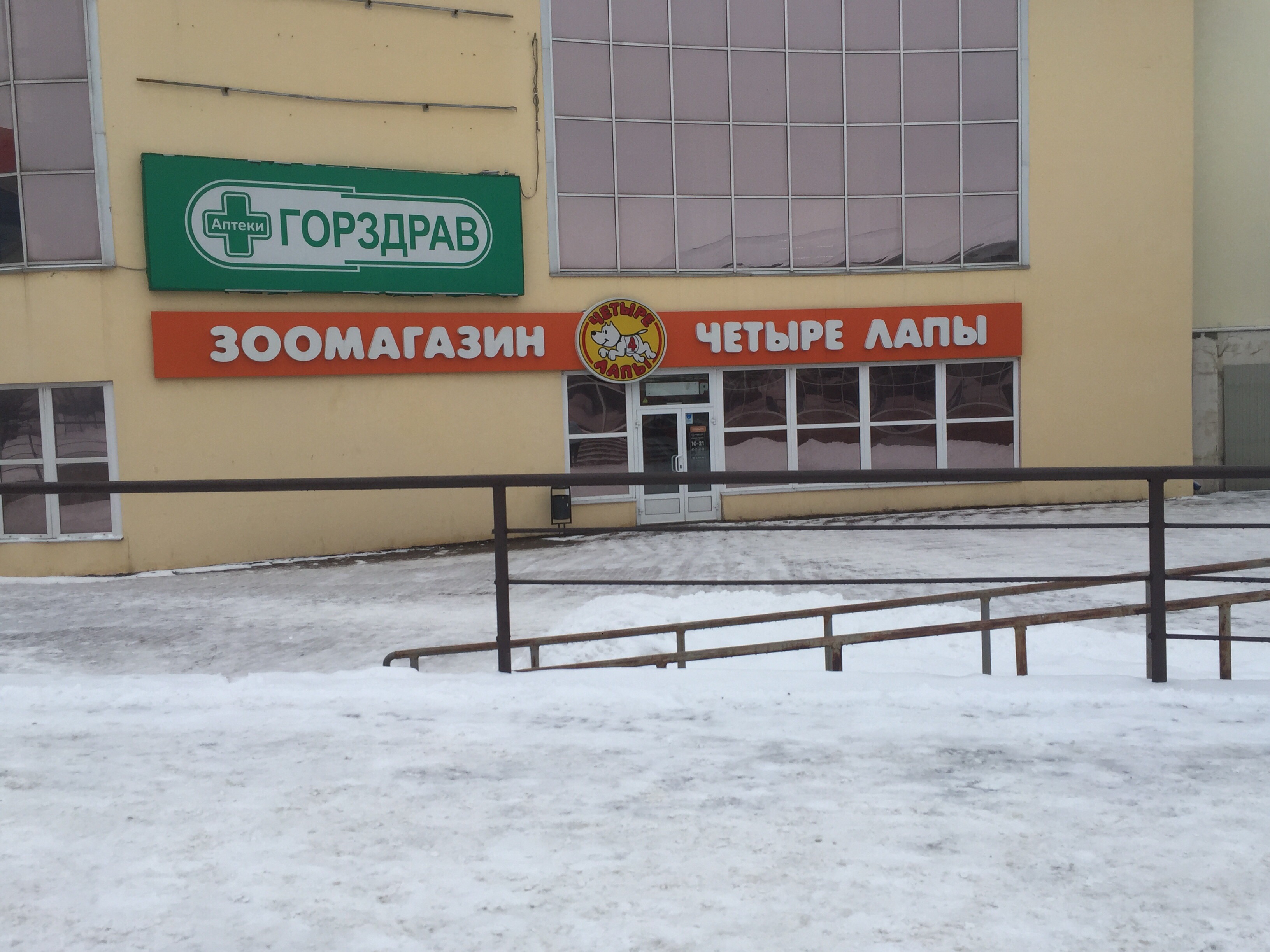 Четыре лапы ул гагарина 5а фото