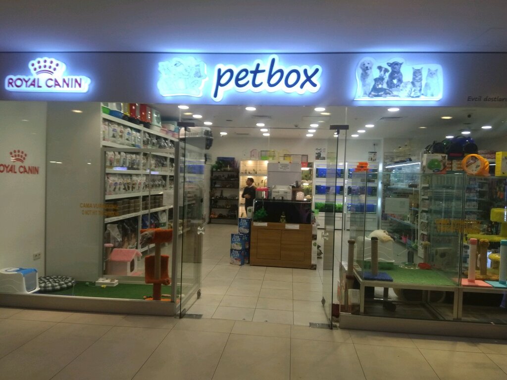 Pet shop Petbox, Istanbul, photo