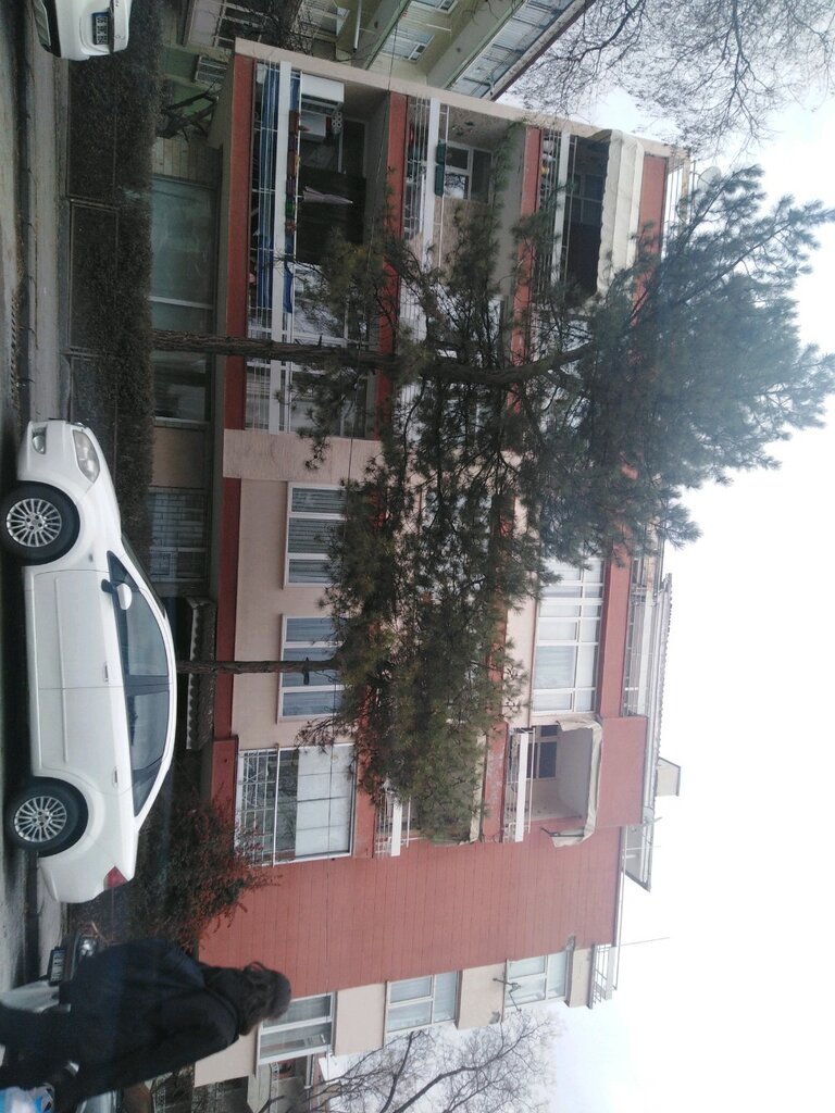 Expertise Mk Expertise, Ankara, photo