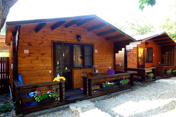 Фото Можжевеловый рай