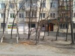 Smotrova Yelena Georgiyevna (Svobodny, ulitsa 50 let Oktyabrya, 12), notaries