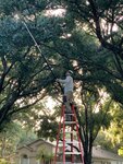 A Cut Above Tree & Landscape Inc (United States, Chuluota, 114 E 7th St), garden tools and equipment