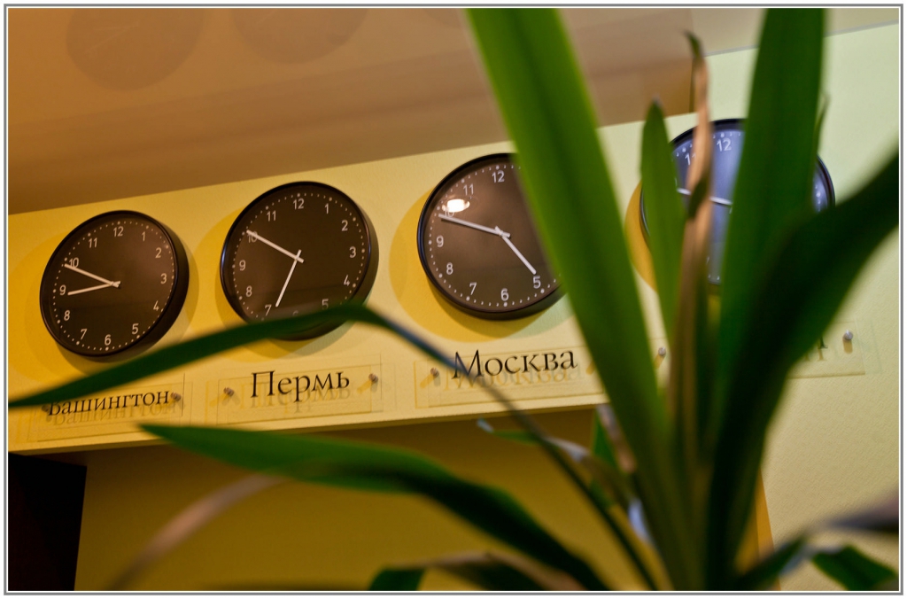 Фото ЦветЫ