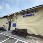 Gbu Lo SBBZh Lomonosovskogo rayona (Veterinarniy Lane, 13), veterinary clinic