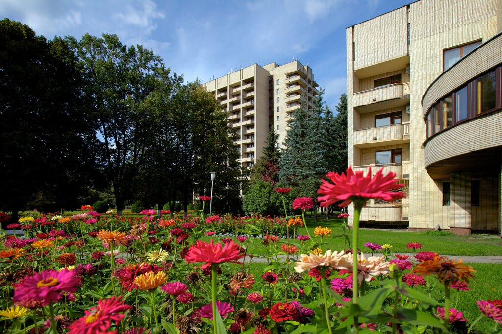 Санаторий московская область