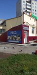 Reks (Molodyozhny prospekt, 8А), clínica veterinaria
