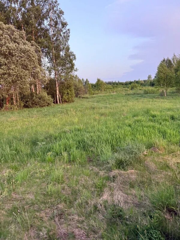 Загородный клуб Туманово — фото 23