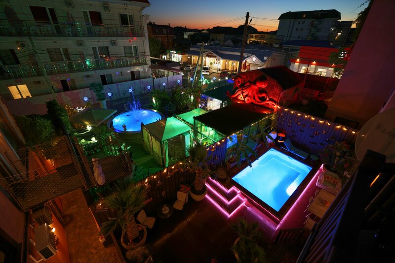 Золотой Какаду — фото 6