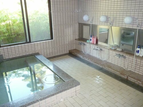Гостиница Yanagawa Hakuryu Soh в Омуте