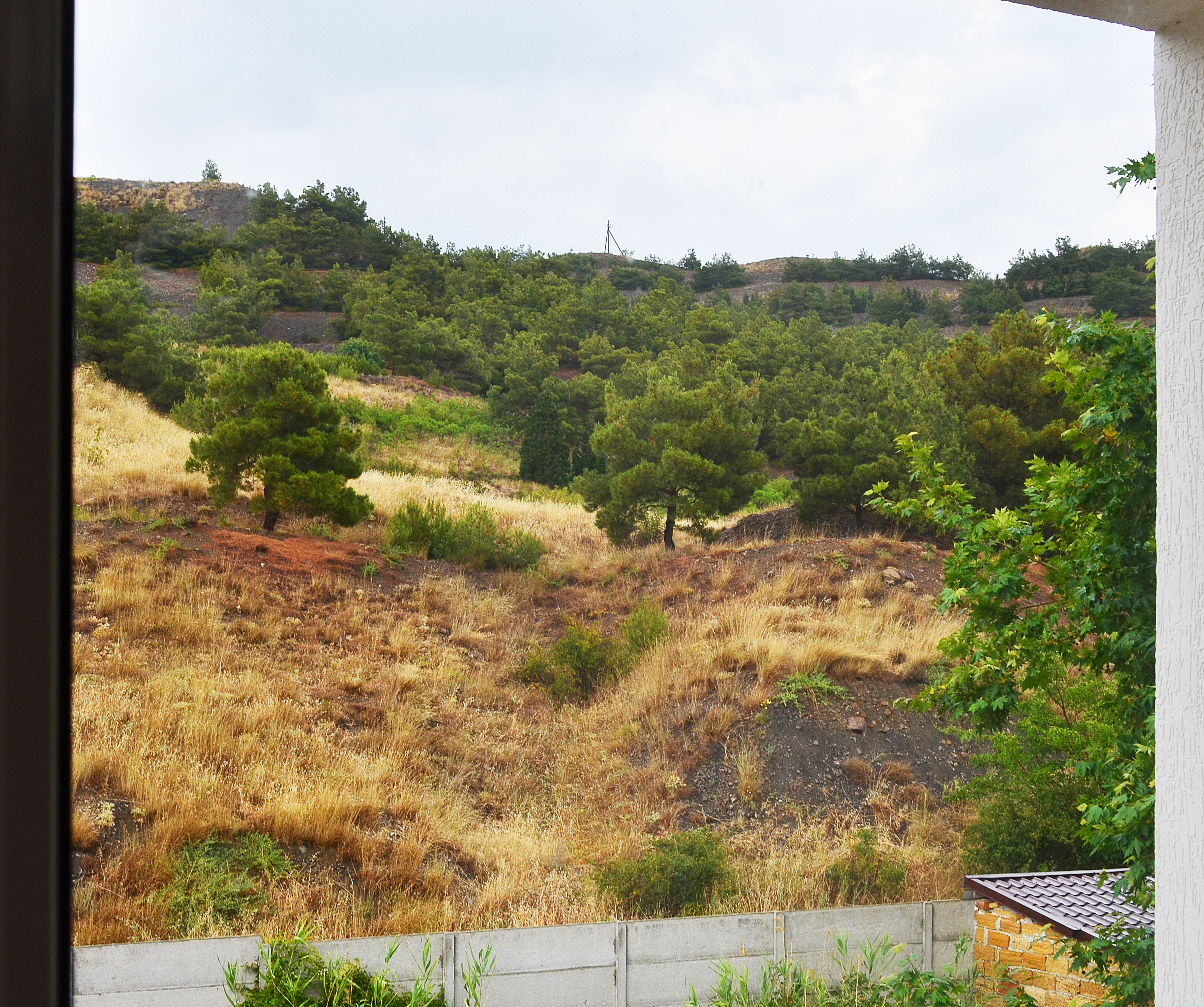 Фото Гд № 10