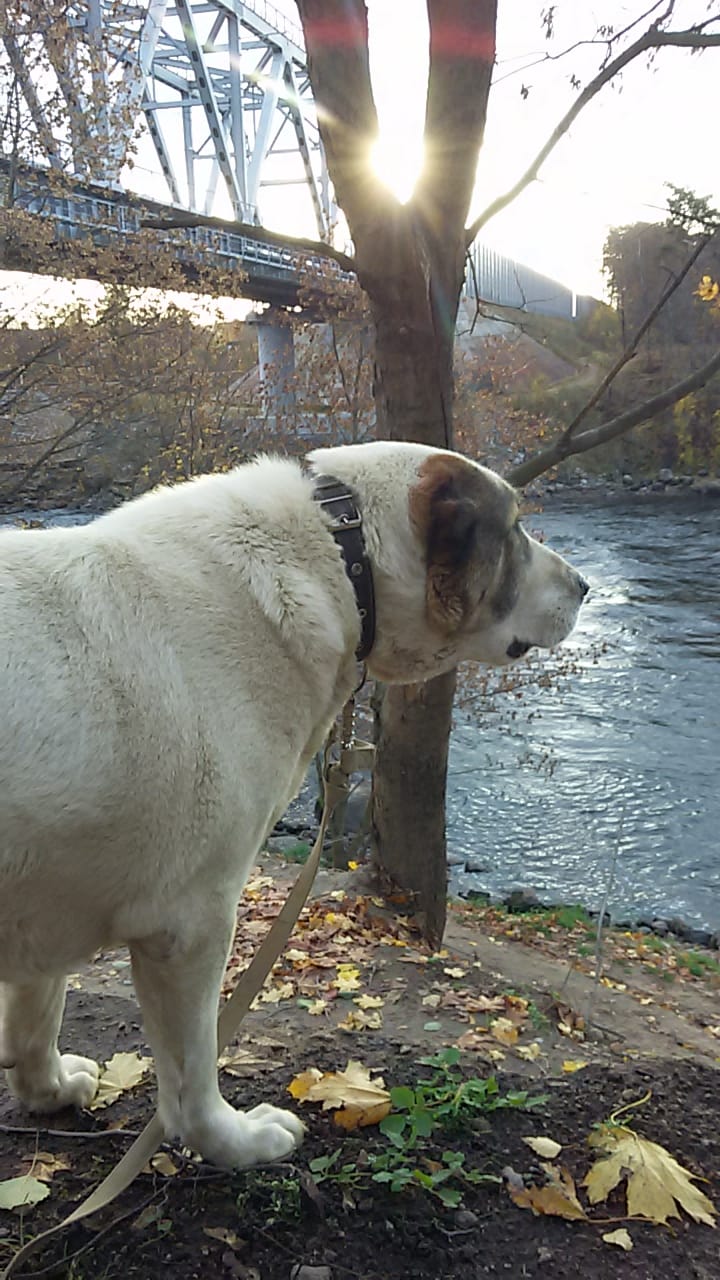 Фото Угребись