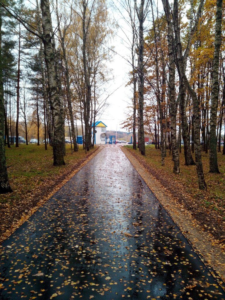 Парк культуры и отдыха Нкуп Парк культуры и отдыха, Новополоцк, фото