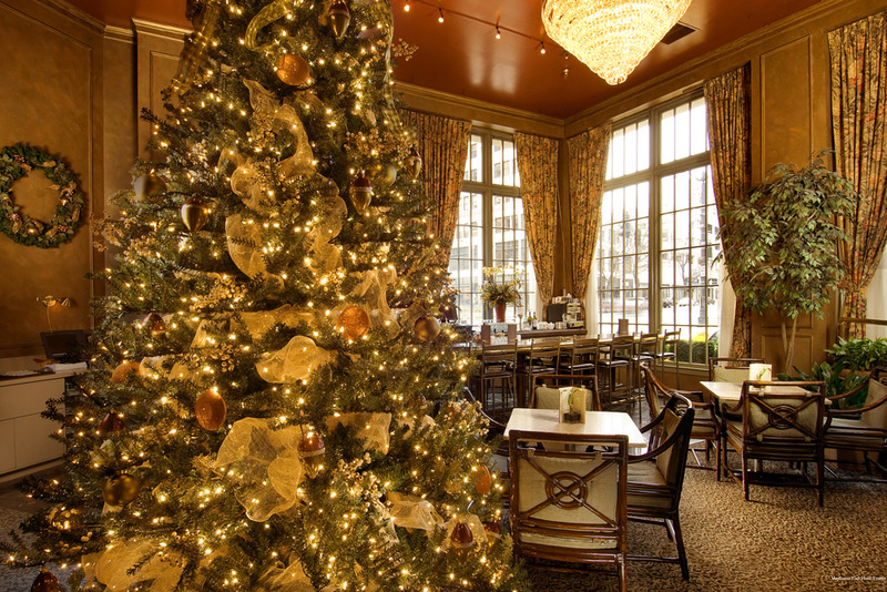 Фото Mayflower Park Hotel