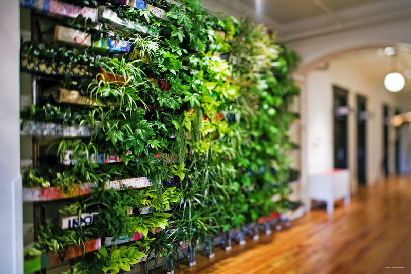 Фото Gladstone House