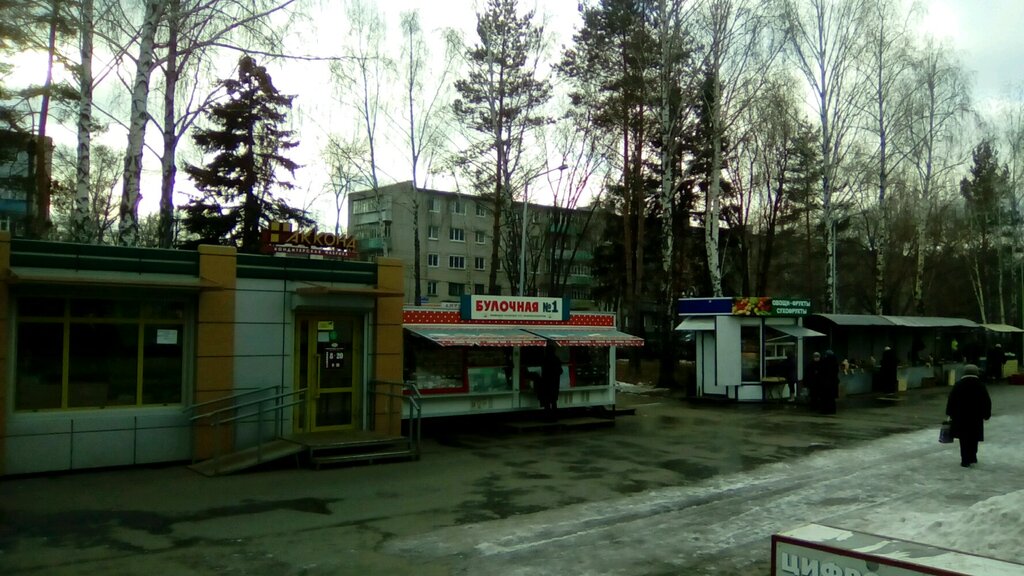 Farmers' market Rynok, Ulyanovsk, photo