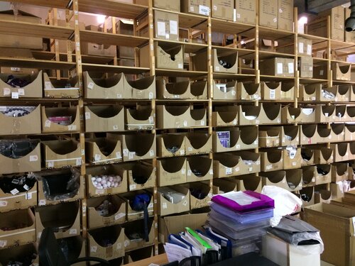 chaqiriluvchilarning eshaklari va yalangoch mushuklari