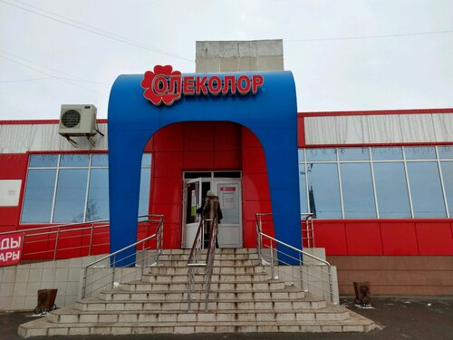 Hardware store Olecolor, Saransk, photo