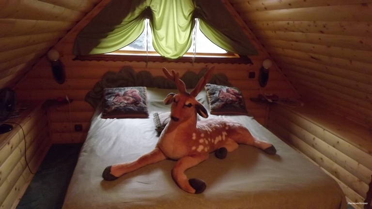 Фото Эко-отель Кочаки