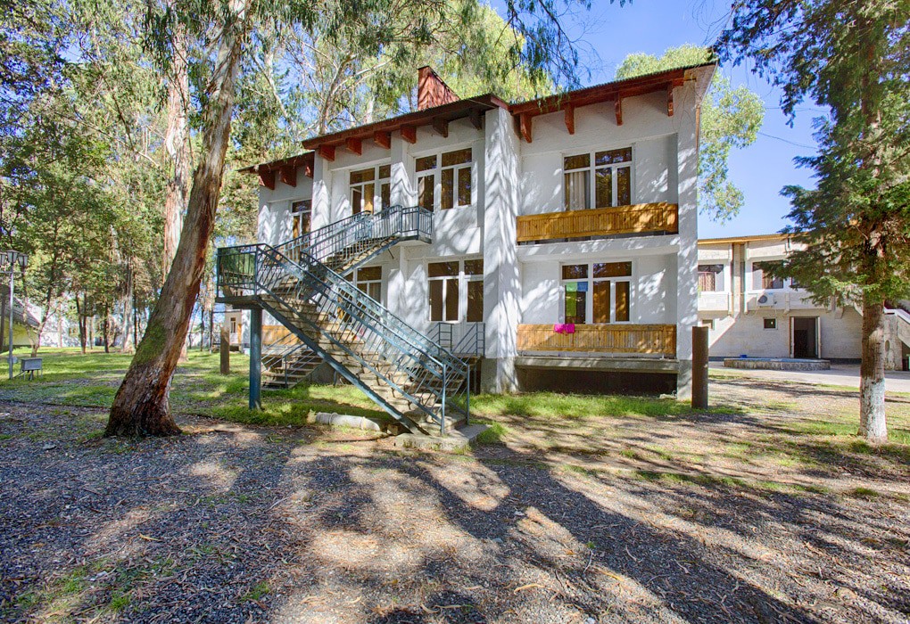 Фото Эвкалиптовая роща