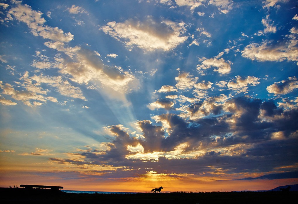 Фото Резиденция Апсны