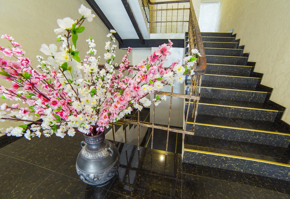 Фото Пицунда