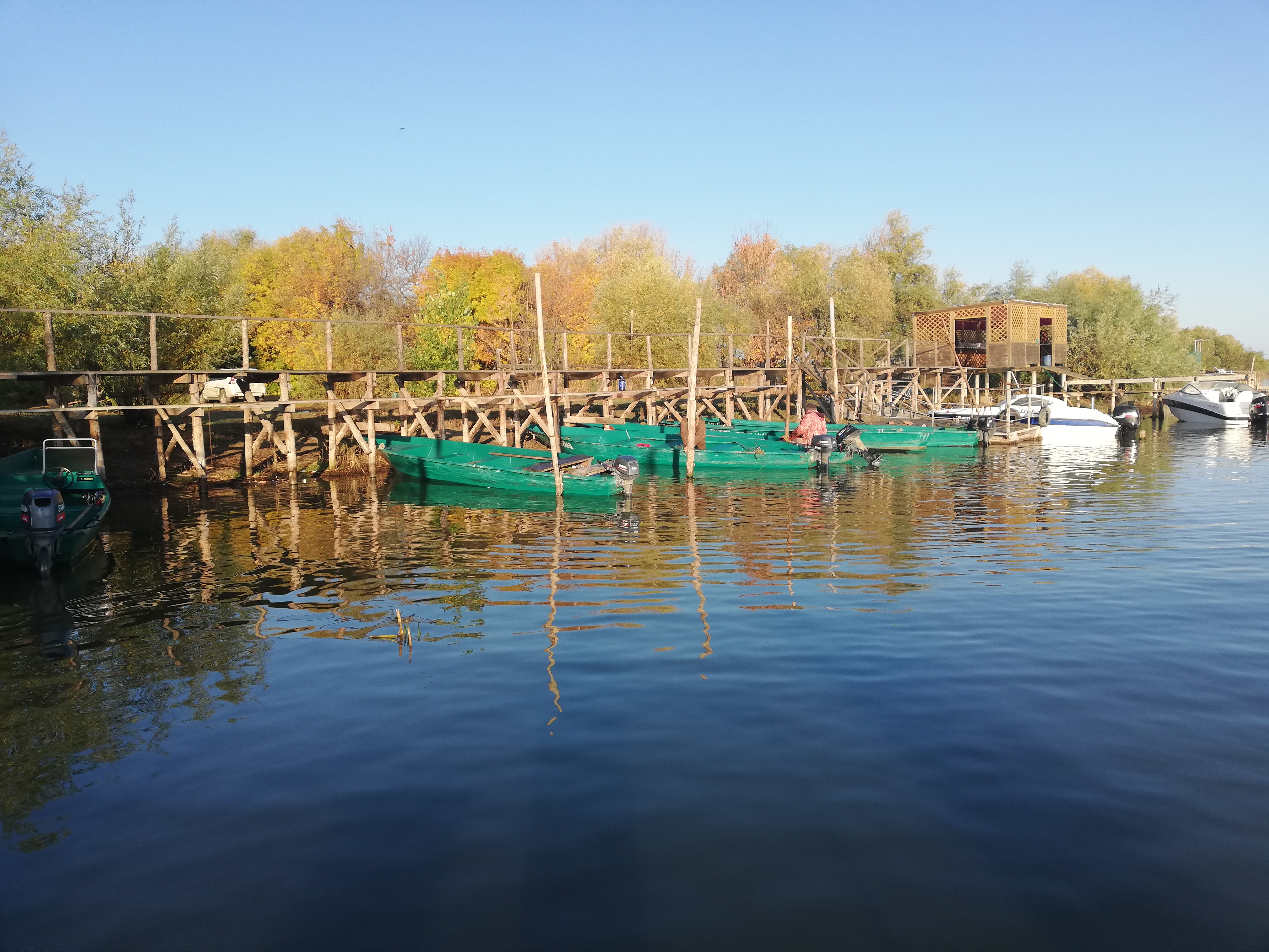 Фото Олигри Fish