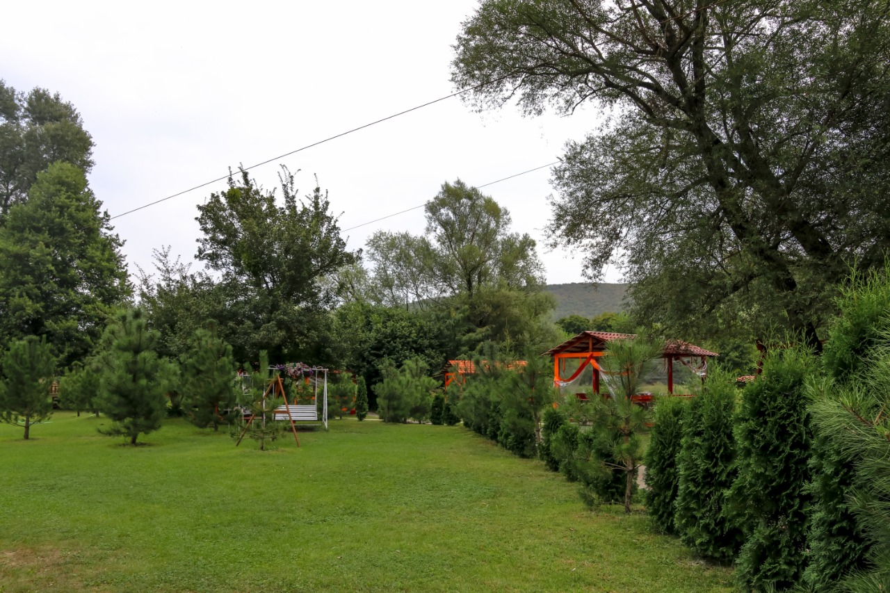 Фото Светлячок